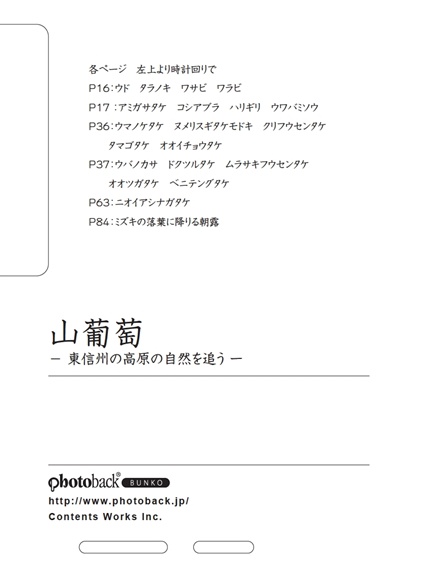 フォトブック ジャケット裏