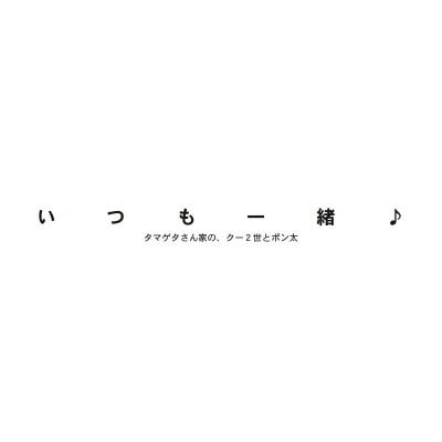 フォトブック 扉