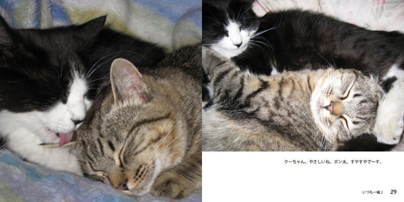 フォトブック 28ページ目