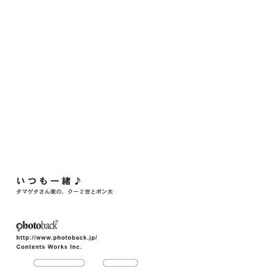 フォトブック ジャケット裏