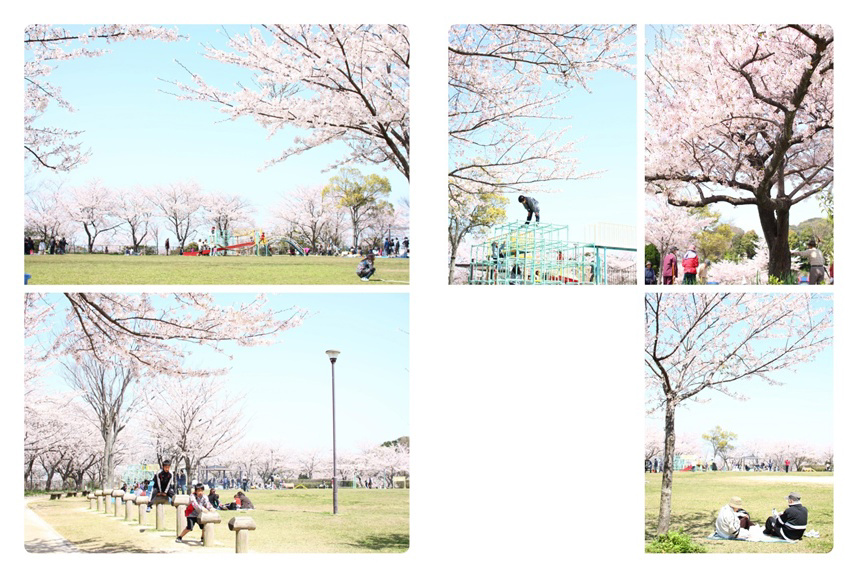 フォトブック 30ページ目
