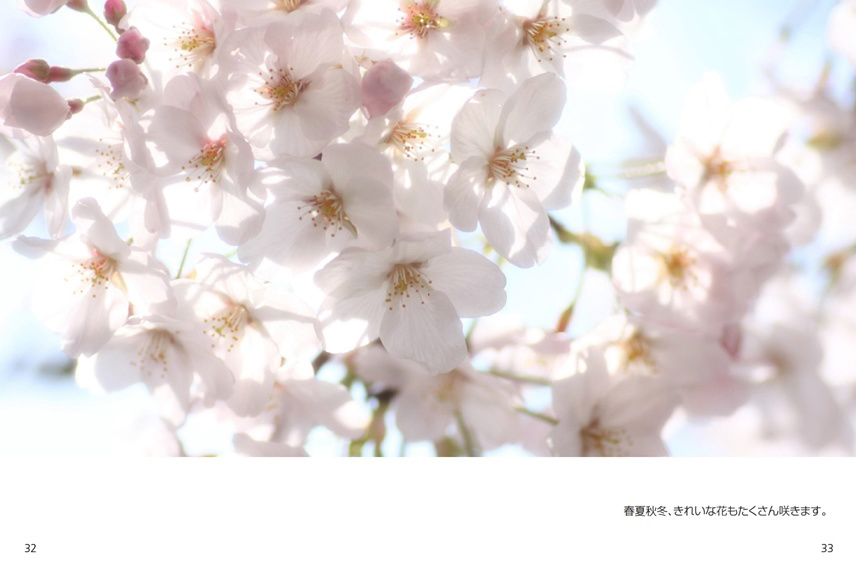 フォトブック 32ページ目