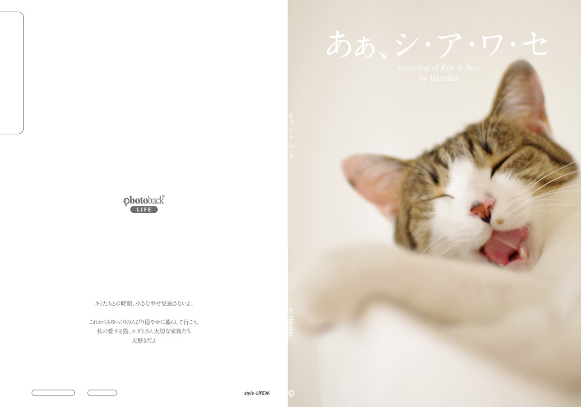 フォトブック ジャケット