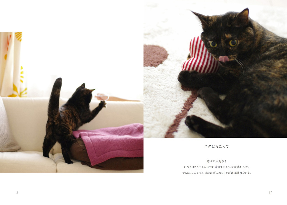 フォトブック 16ページ目