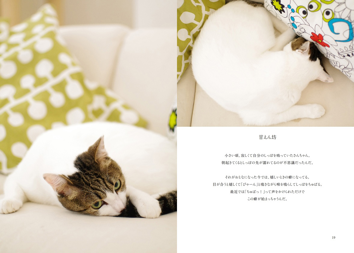 フォトブック 18ページ目