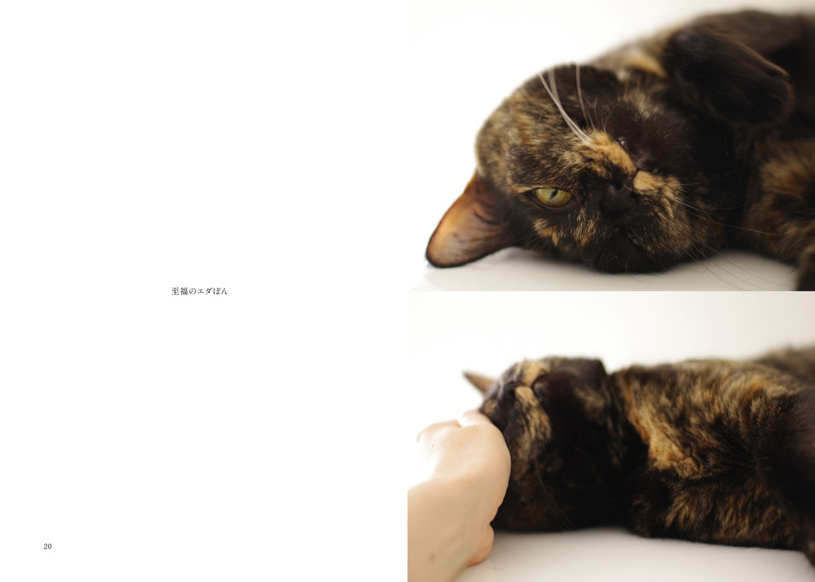 フォトブック 20ページ目