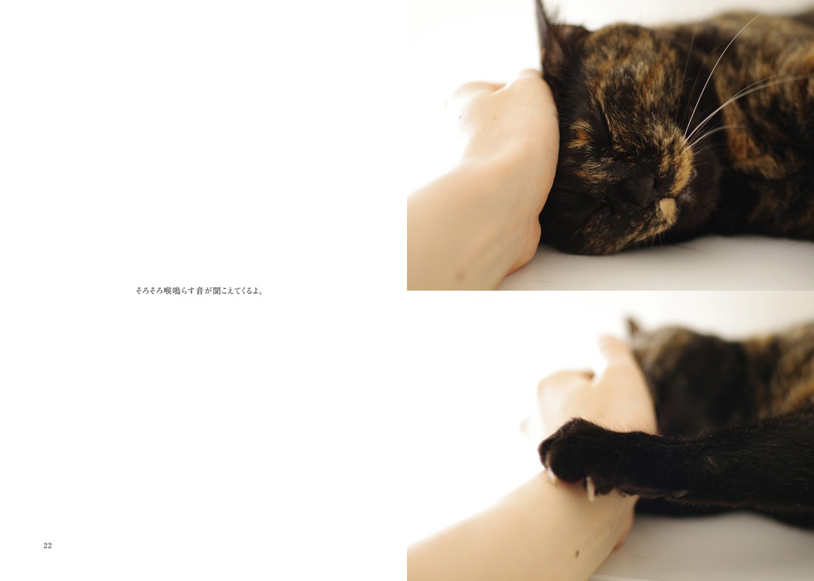 フォトブック 22ページ目