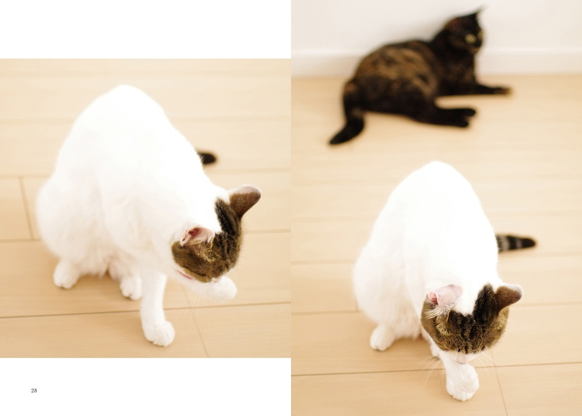 フォトブック 28ページ目