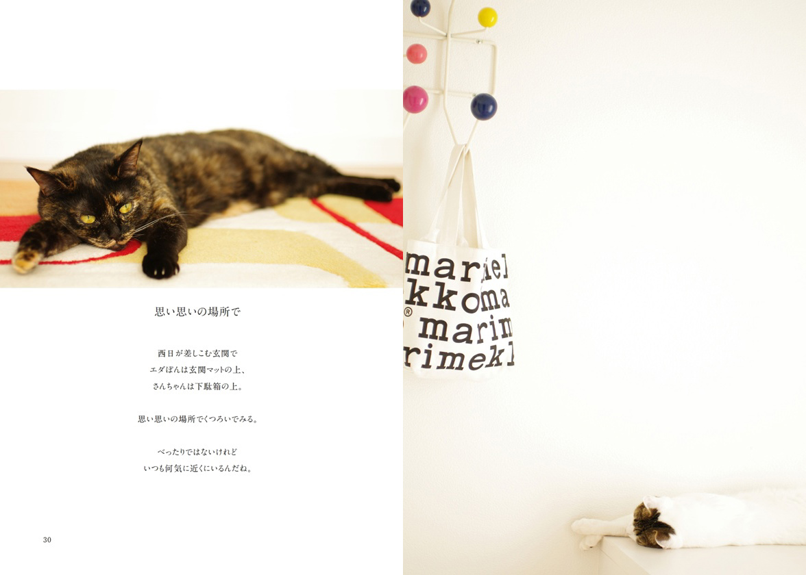 フォトブック 30ページ目