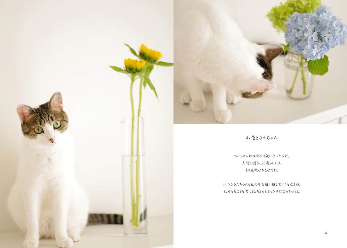 フォトブック 4ページ目