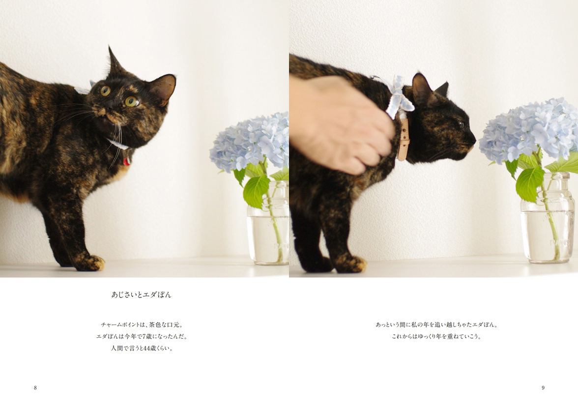 フォトブック 8ページ目
