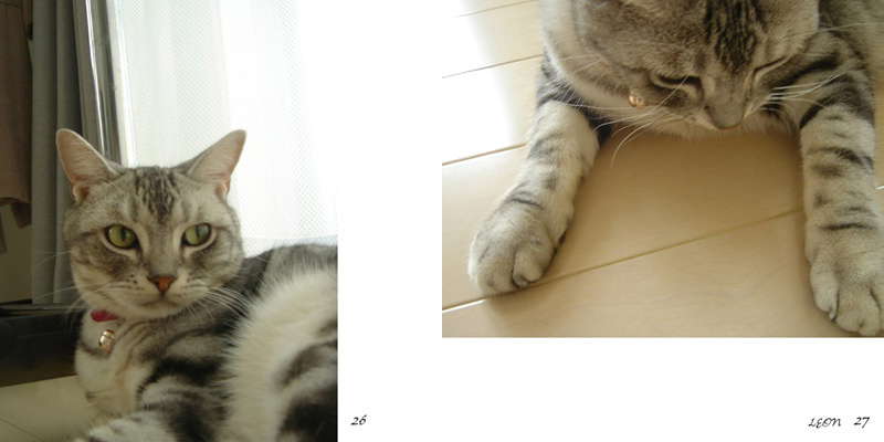 フォトブック 26ページ目
