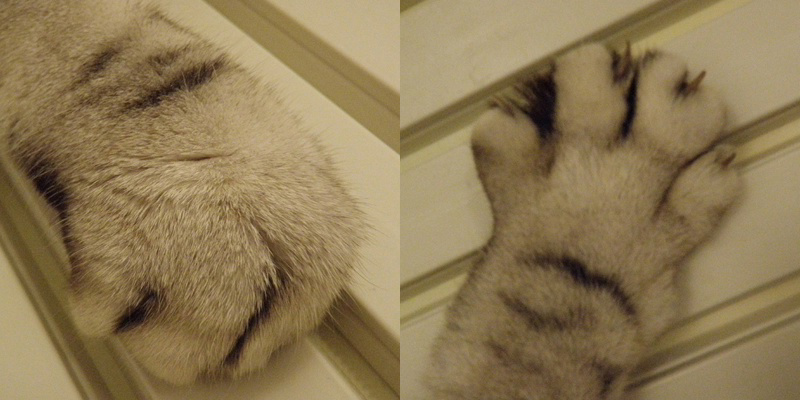 フォトブック 6ページ目