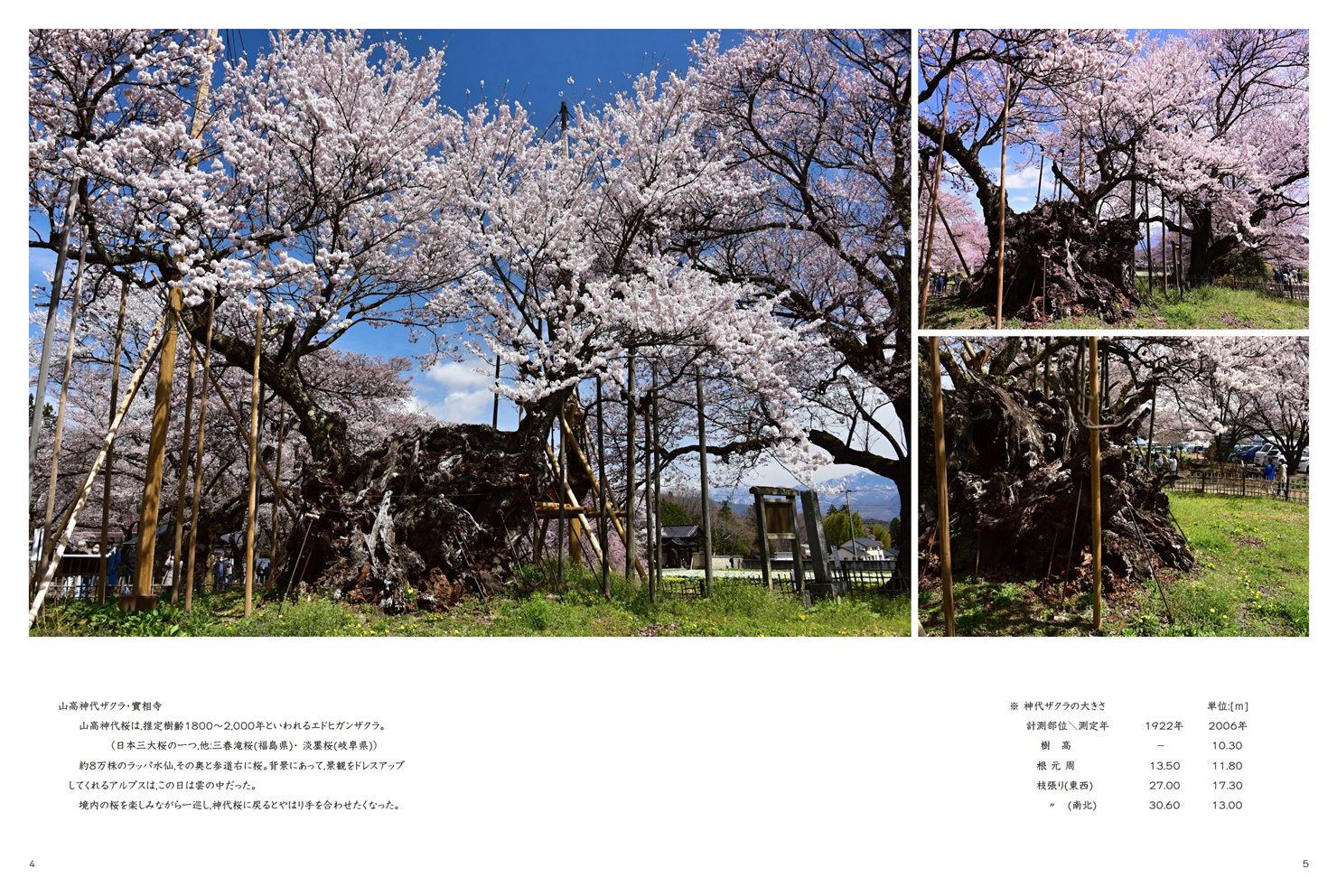 フォトブック 4ページ目
