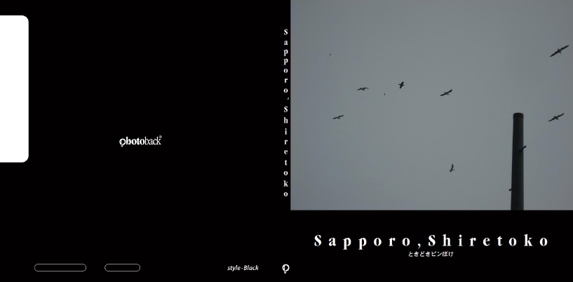 フォトブック ジャケット
