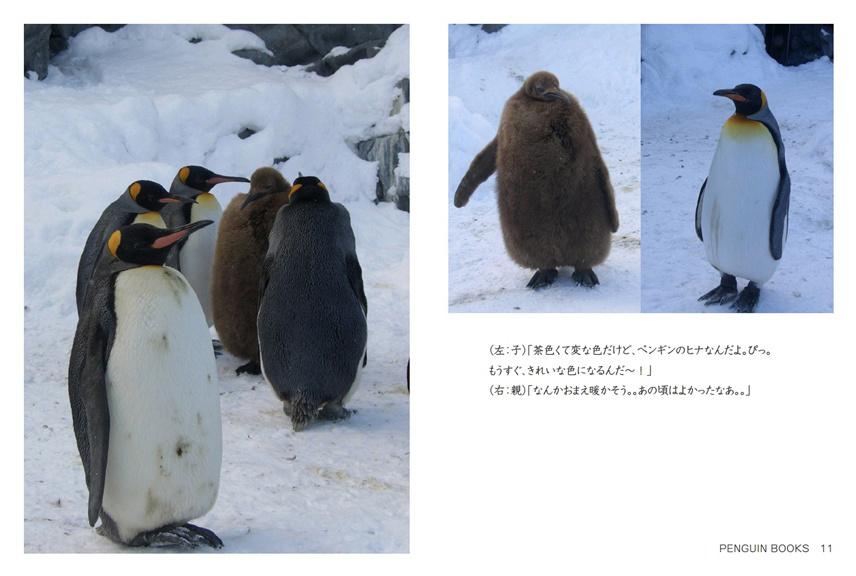 フォトブック 10ページ目