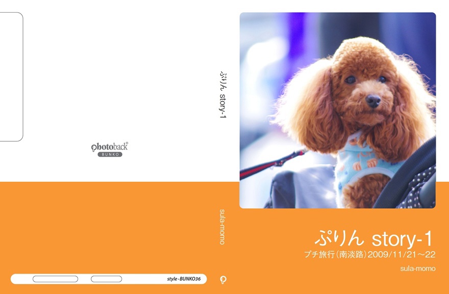 フォトブック ジャケット