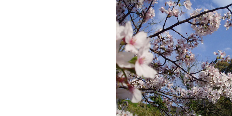 フォトブック 2ページ目