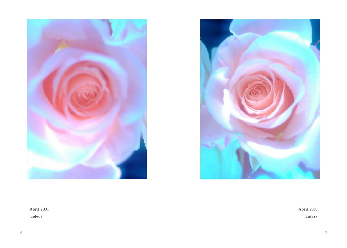 フォトブック 6ページ目