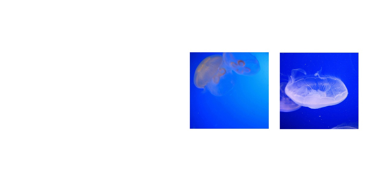 フォトブック 2ページ目