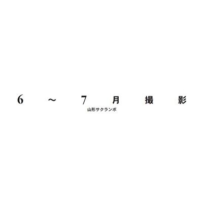 フォトブック 扉