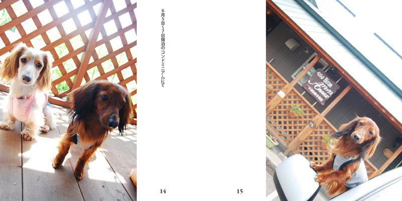 フォトブック 14ページ目