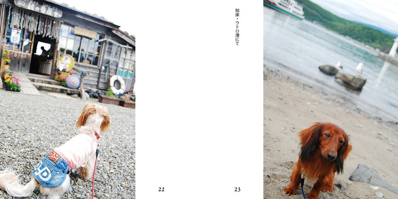 フォトブック 22ページ目