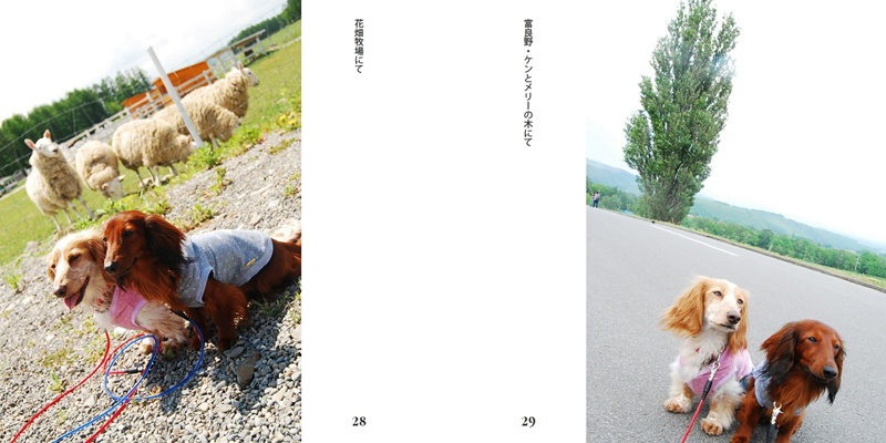 フォトブック 28ページ目