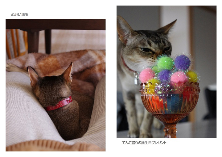 フォトブック 12ページ目