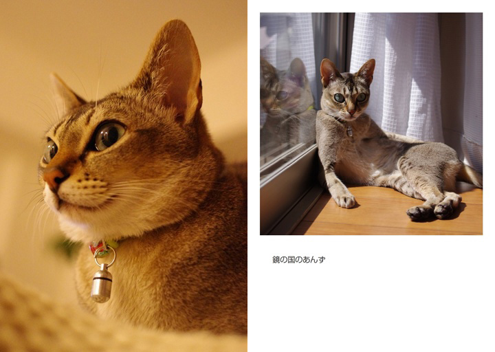フォトブック 18ページ目