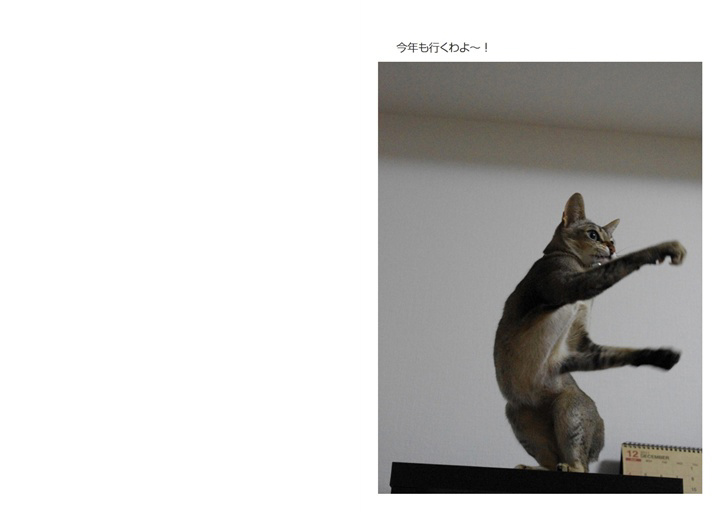 フォトブック 2ページ目