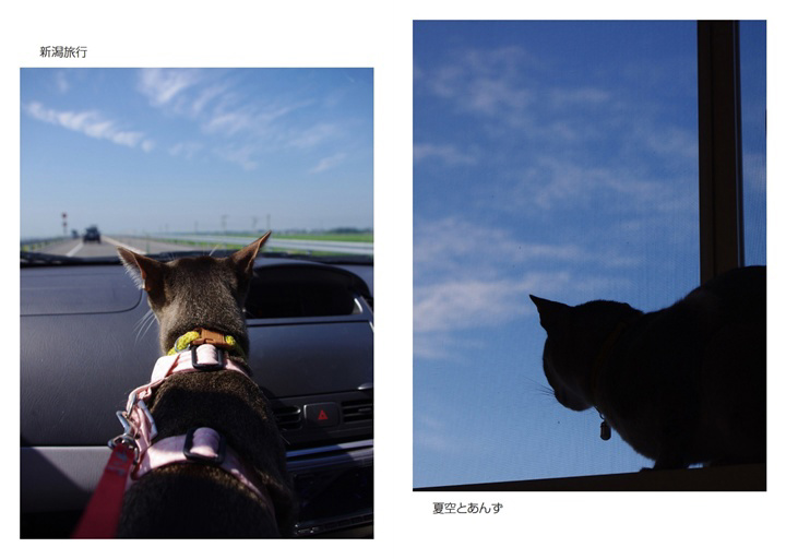 フォトブック 20ページ目
