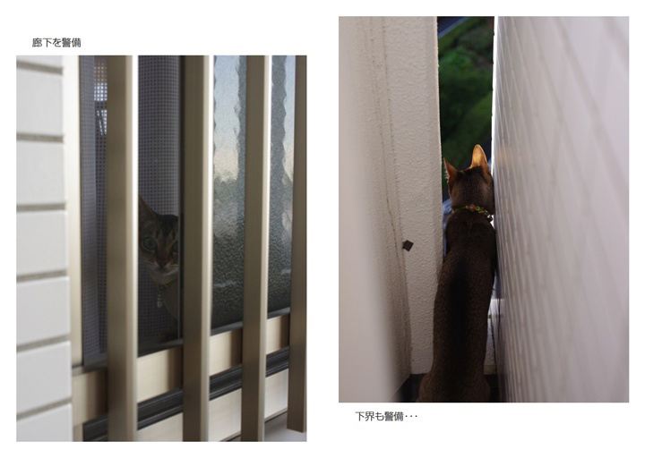 フォトブック 24ページ目