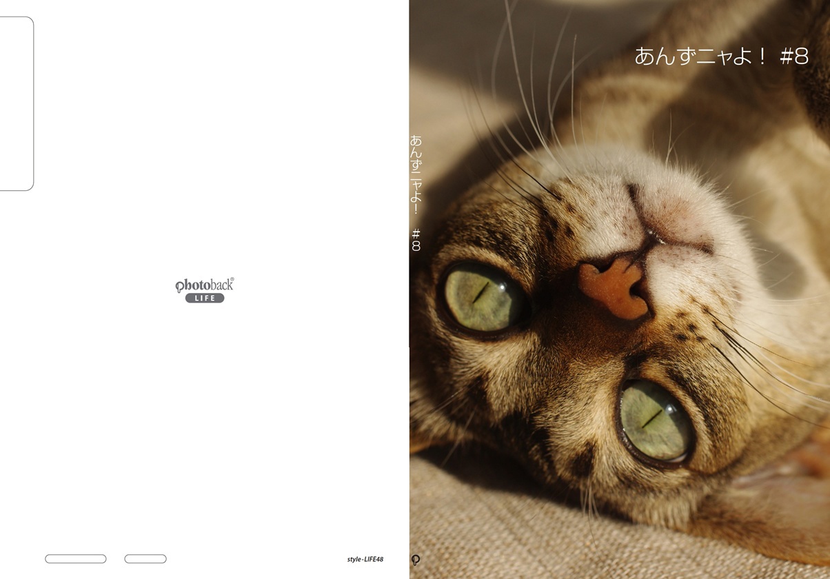 フォトブック ジャケット