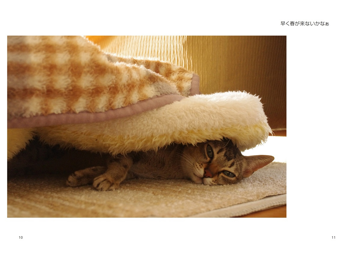 フォトブック 10ページ目