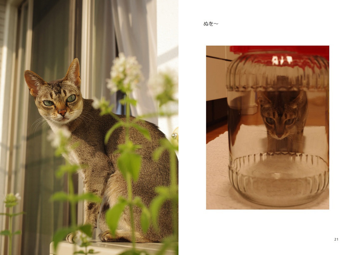 フォトブック 20ページ目