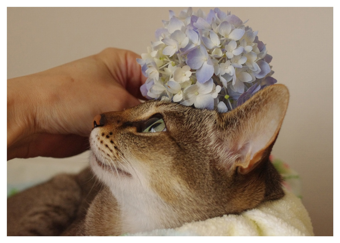 フォトブック 24ページ目
