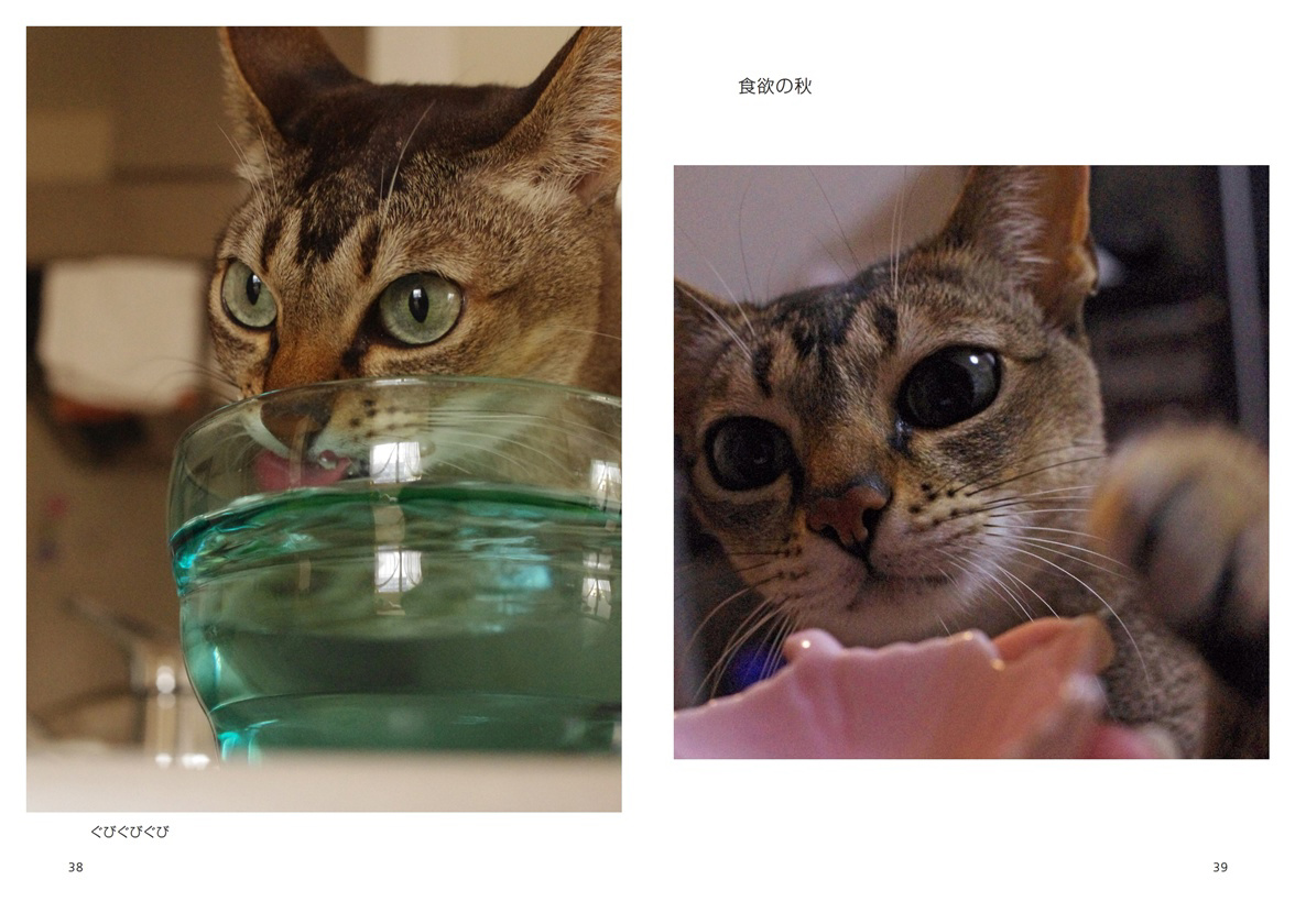 フォトブック 38ページ目