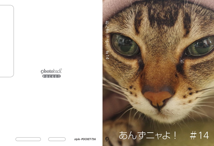 フォトブック ジャケット