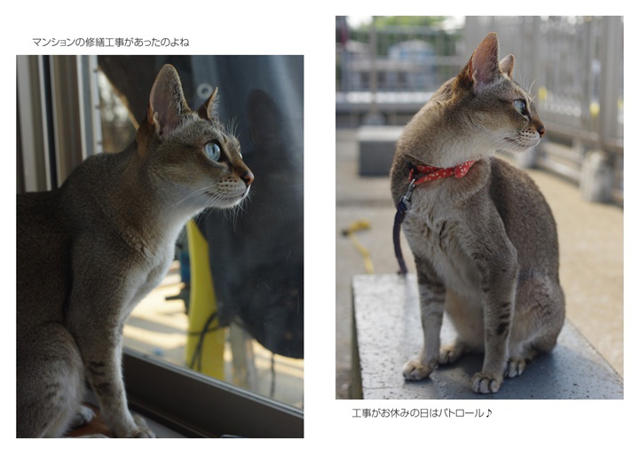 フォトブック 10ページ目