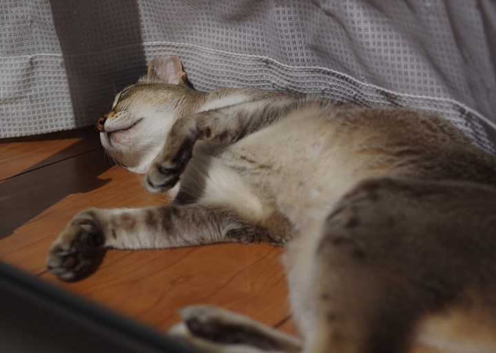 フォトブック 26ページ目