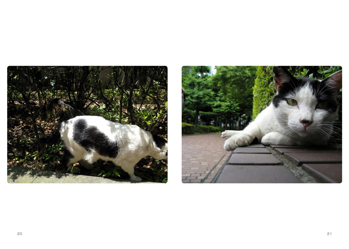 フォトブック 20ページ目