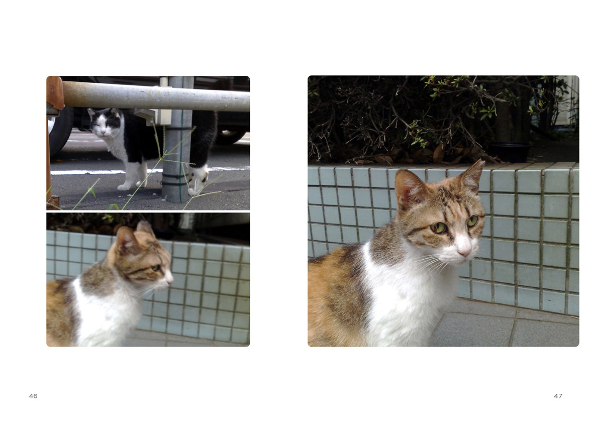 フォトブック 46ページ目