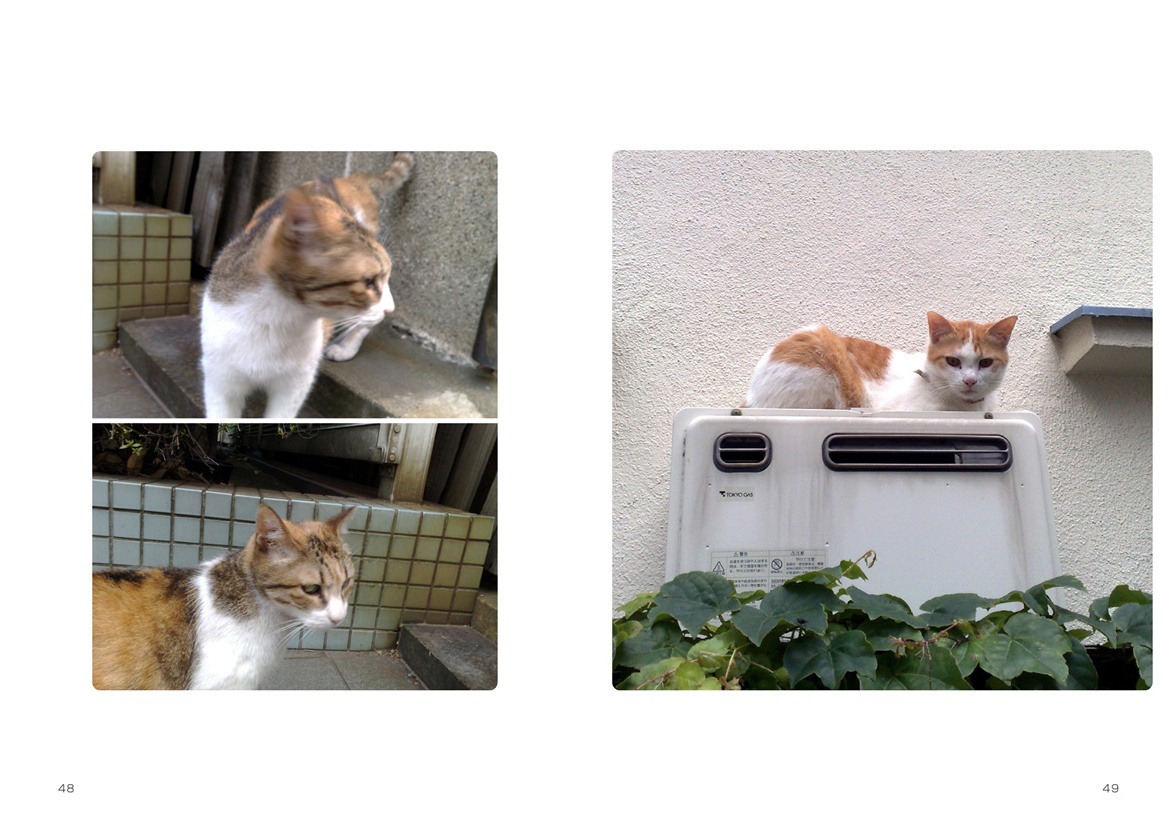 フォトブック 48ページ目