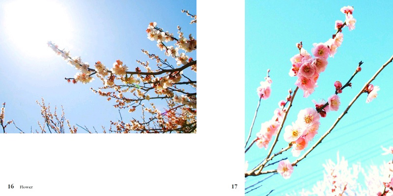 フォトブック 16ページ目