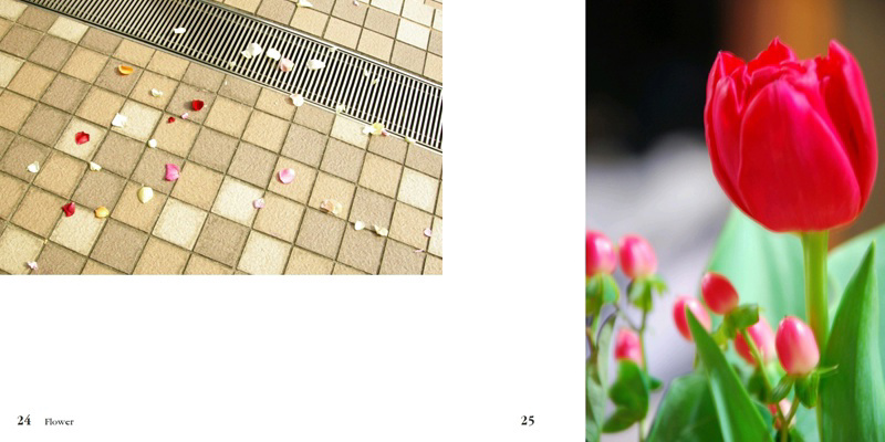 フォトブック 24ページ目