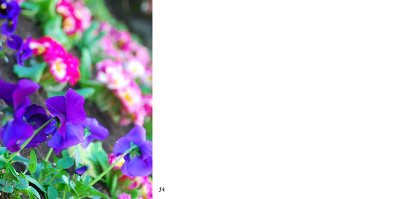フォトブック 34ページ目