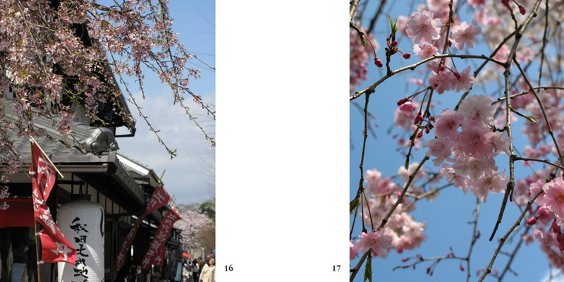 フォトブック 16ページ目