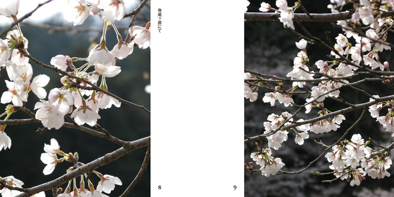フォトブック 8ページ目