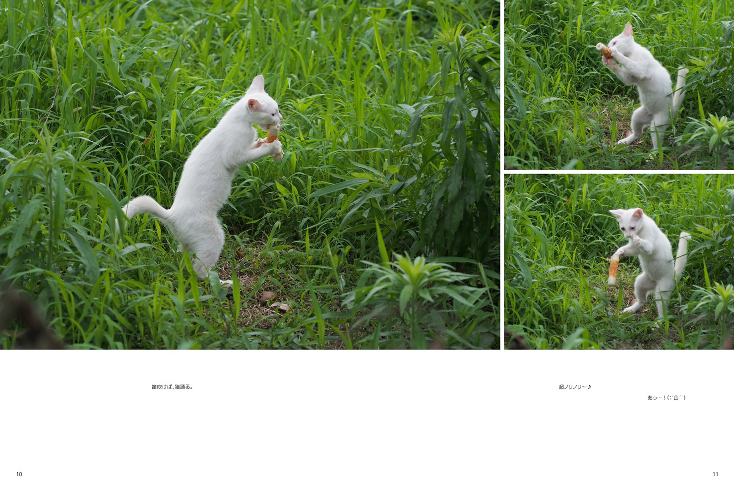 フォトブック 10ページ目